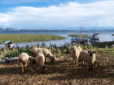 Titicacasee bei Huatajata
